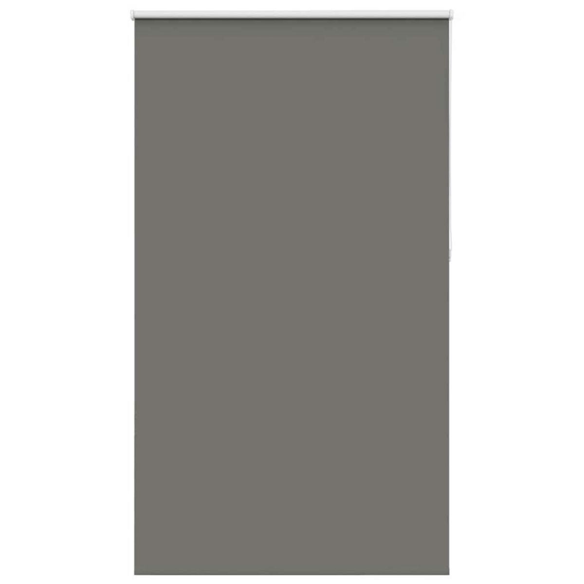 VIDAXL Store enrouleur occultant largeur du tissu 141,6 cm polyester