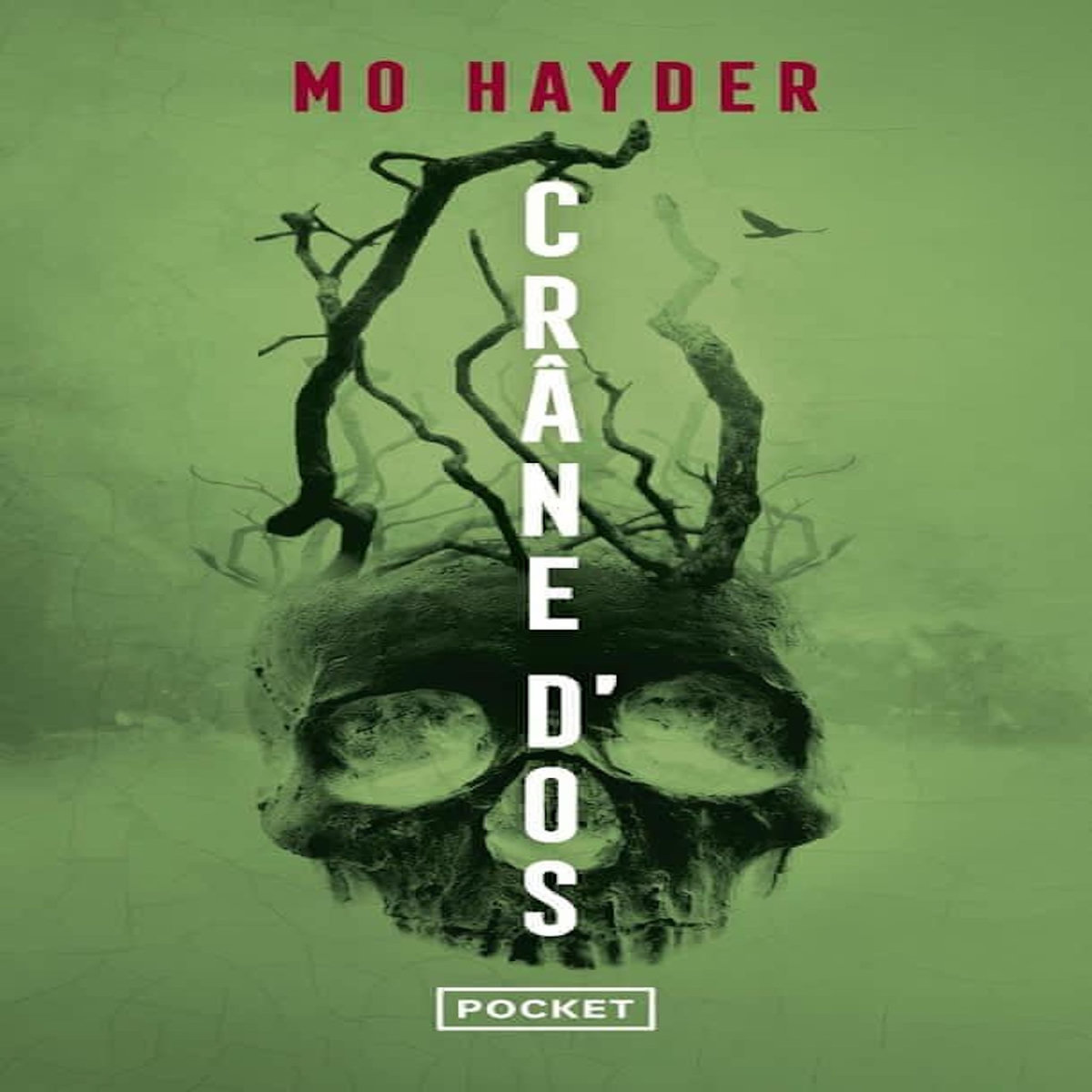 CRANE D'OS, Hayder Mo