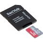Voir la diapositive 2 : SANDISK Carte mémoire SanDisk Ultra 256 Go