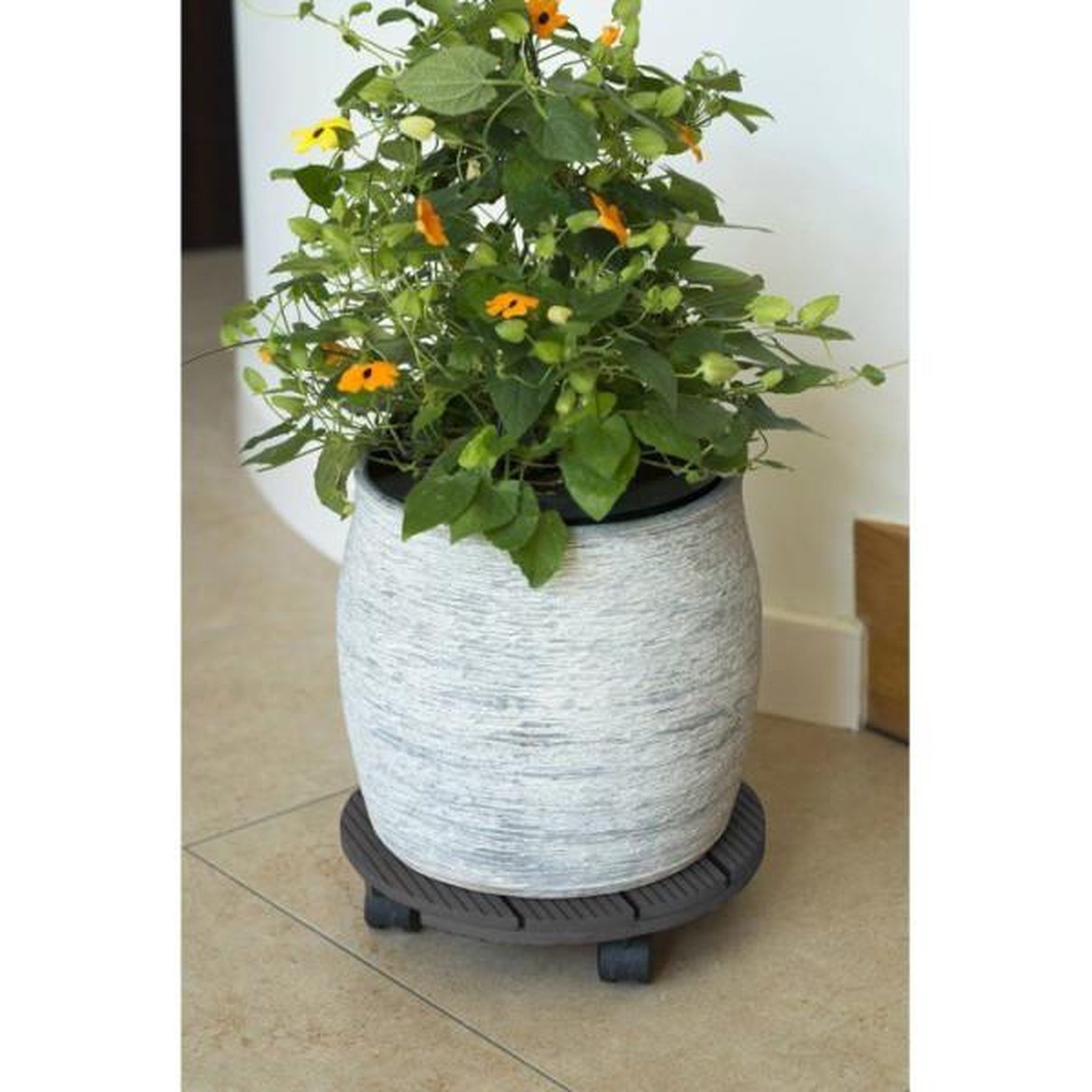 Voir la diapositive 2 : NATURE Support de pot roulant - NATURE - Composite - Diametre 30 cm - Anthracite
