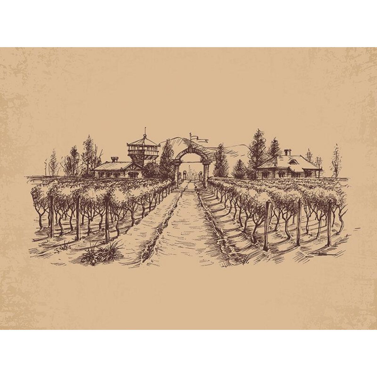 Smartbox Voyage autour du vin - Coffret Cadeau Séjour