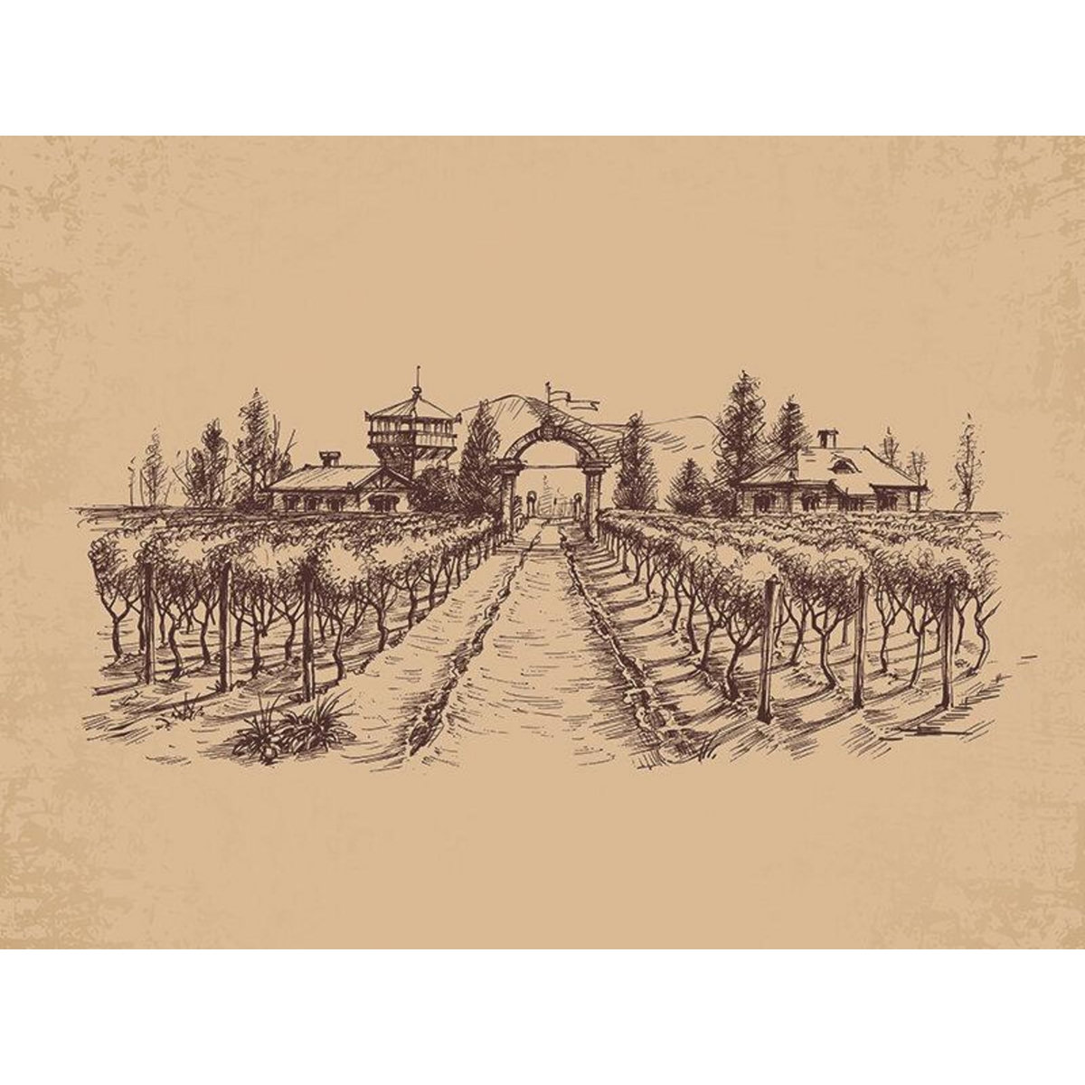 Smartbox Voyage autour du vin - Coffret Cadeau Séjour