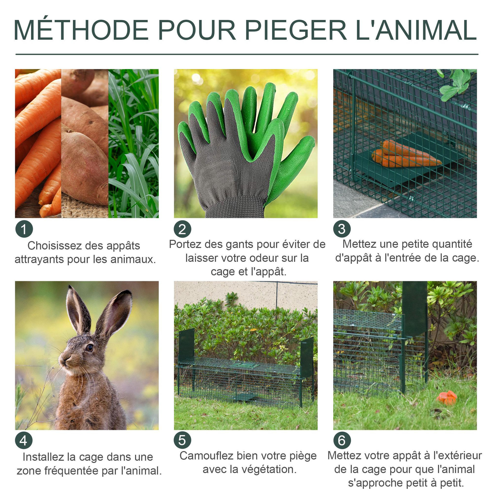 Voir la diapositive 5 : PAWHUT Piège de capture pour petits animaux type lapin rat - 2 entrées + poignée - dim. 100L x 25l x 28H cm - métal vert