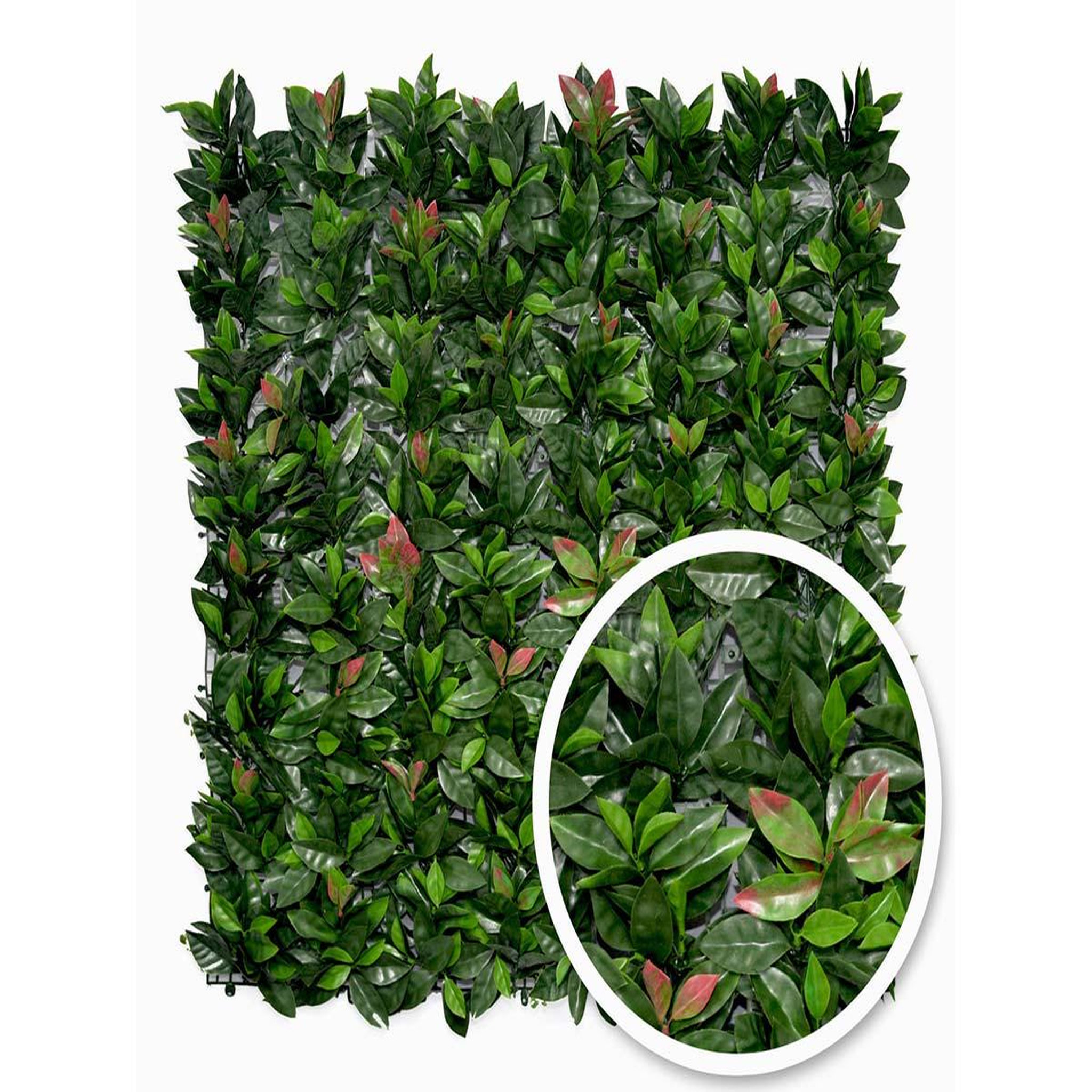 JARDIDECO Feuillage artificiel imitation photinia 1 m² - jardideco