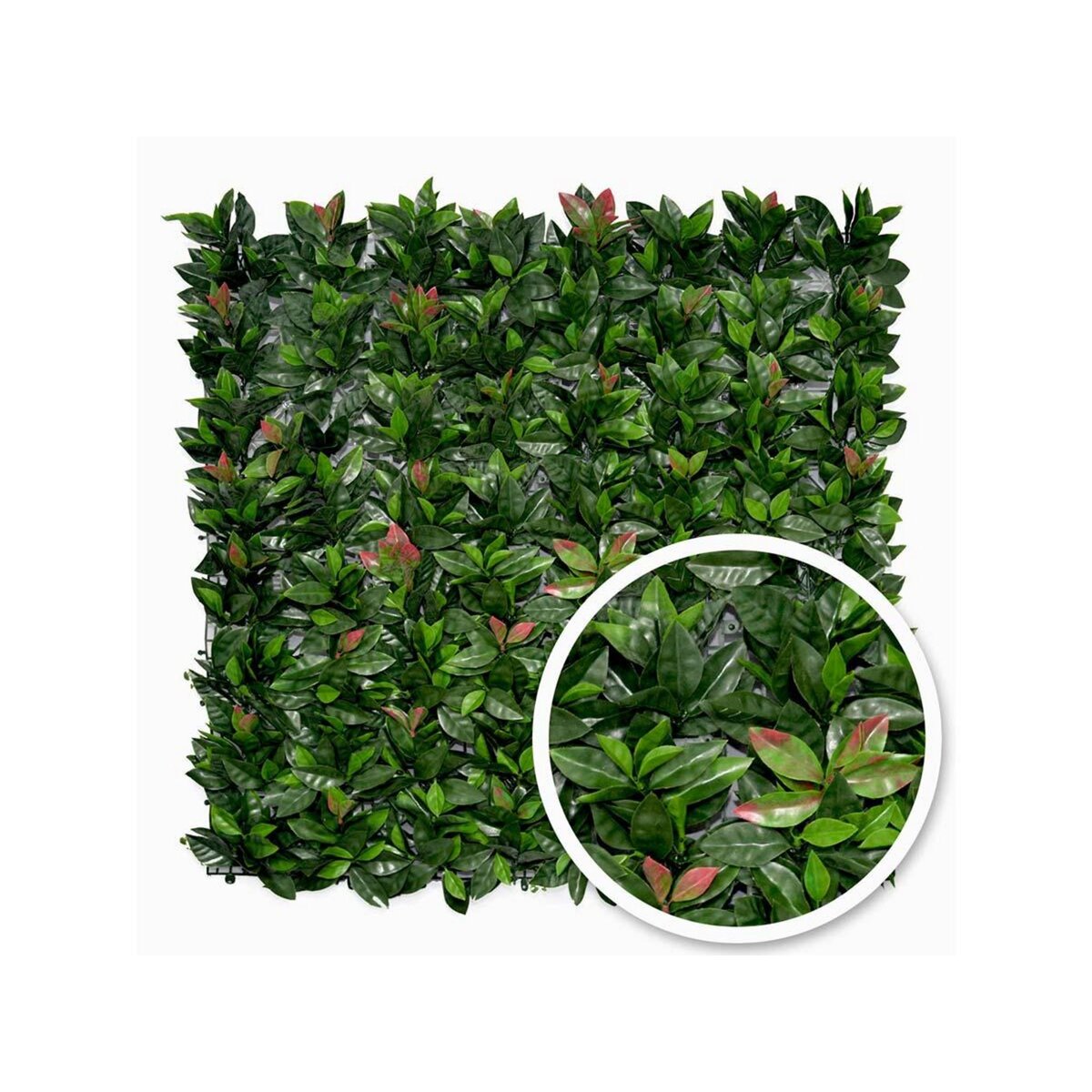 JARDIDECO Feuillage artificiel imitation Photinia 1 m² - Jardideco