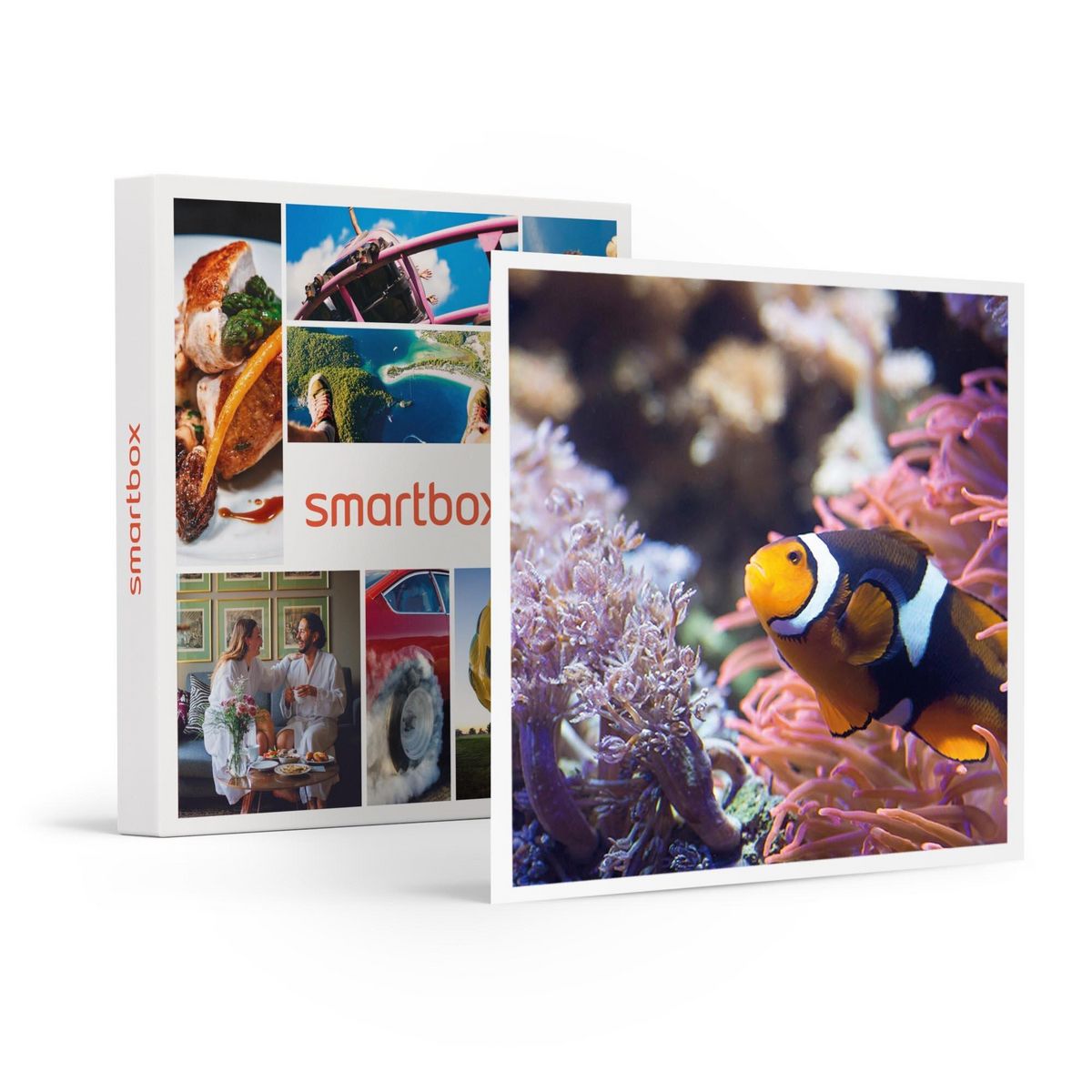 Smartbox Visite de l'Aquarium Sea Life de Val d'Europe - Coffret Cadeau Sport & Aventure