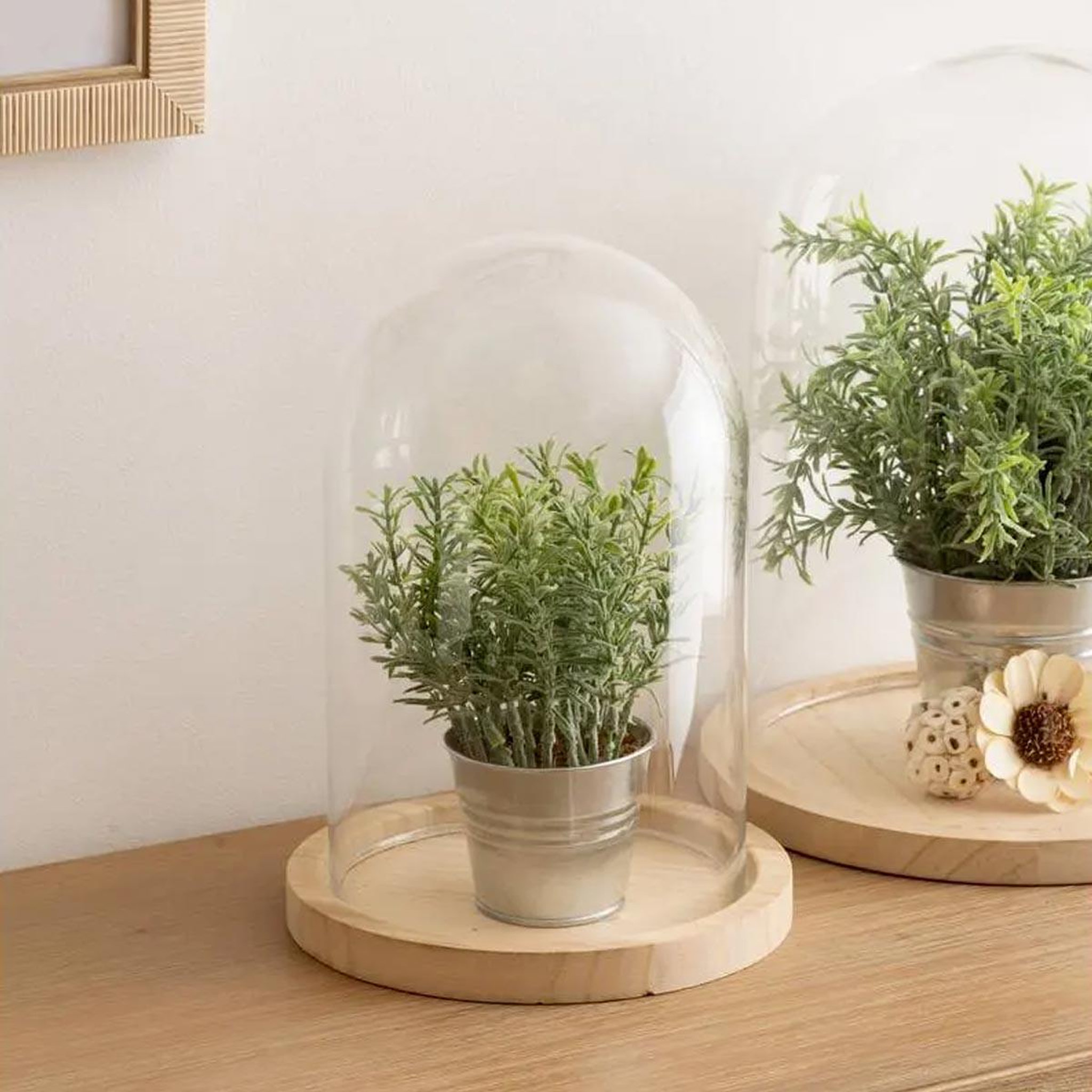 Voir la diapositive 2 : ATMOSPHERA Cloche décorative en verre  shine  26cm naturel