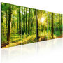 Voir la diapositive 1 : Paris Prix Tableau Imprimé  Magic Forest