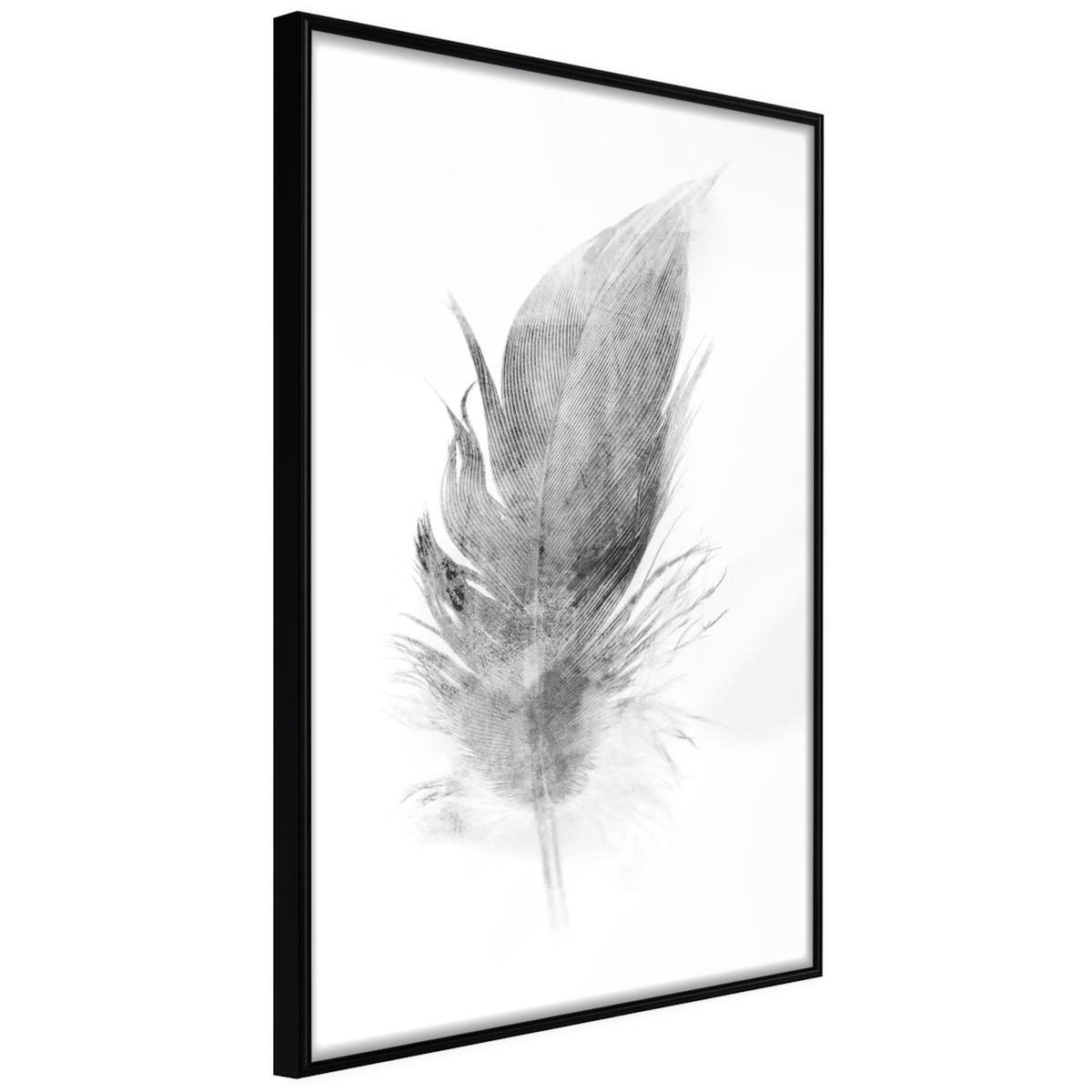 Paris Prix Affiche Murale Encadrée  Lost Feather Grey
