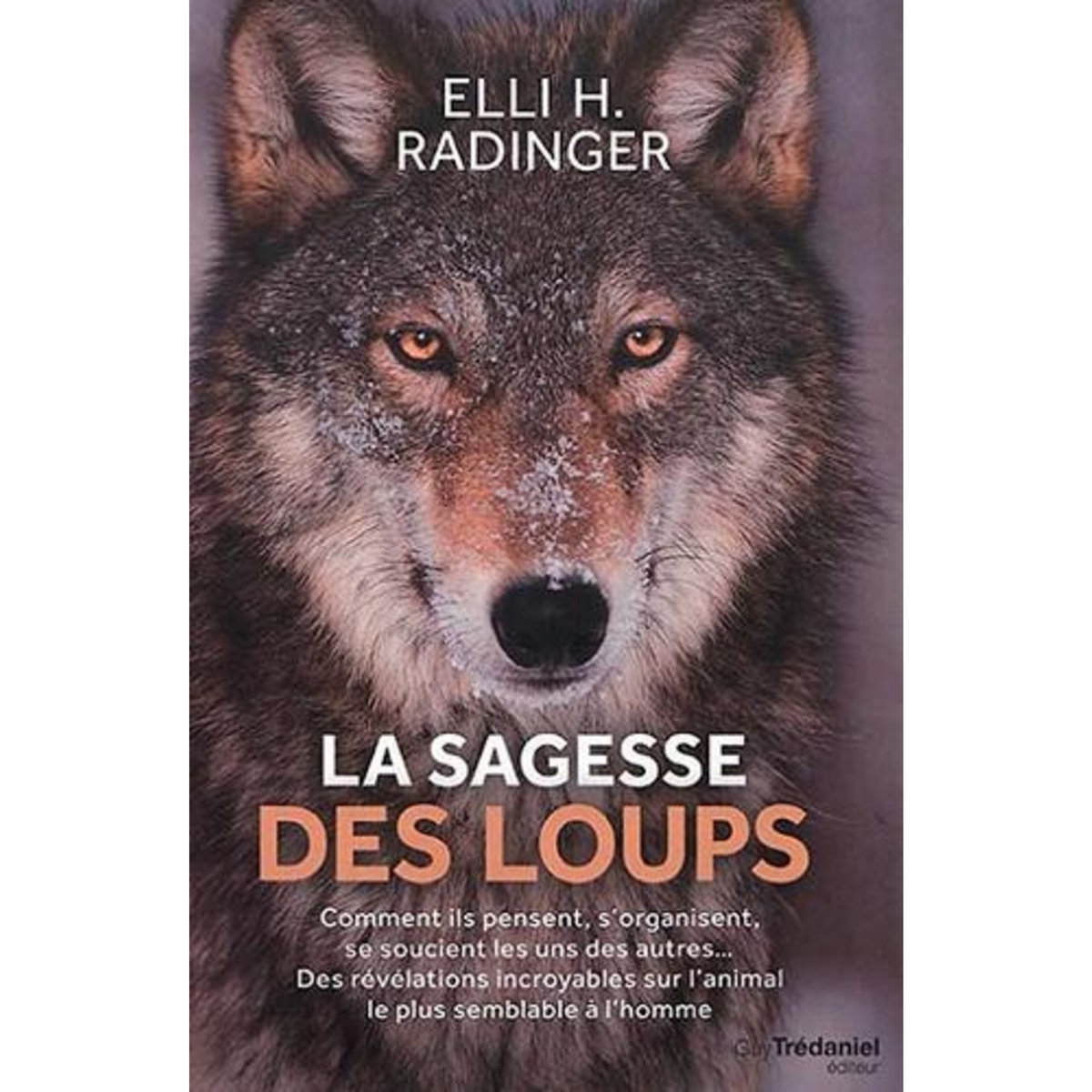 LA SAGESSE DES LOUPS. COMMENT ILS PENSENT, S'ORGANISENT, SE SOUCIENT LES UNS DES AUTRES..., Radinger Elli H.