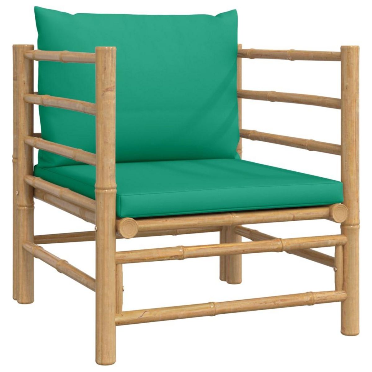 VIDAXL Canape de jardin avec coussins vert bambou