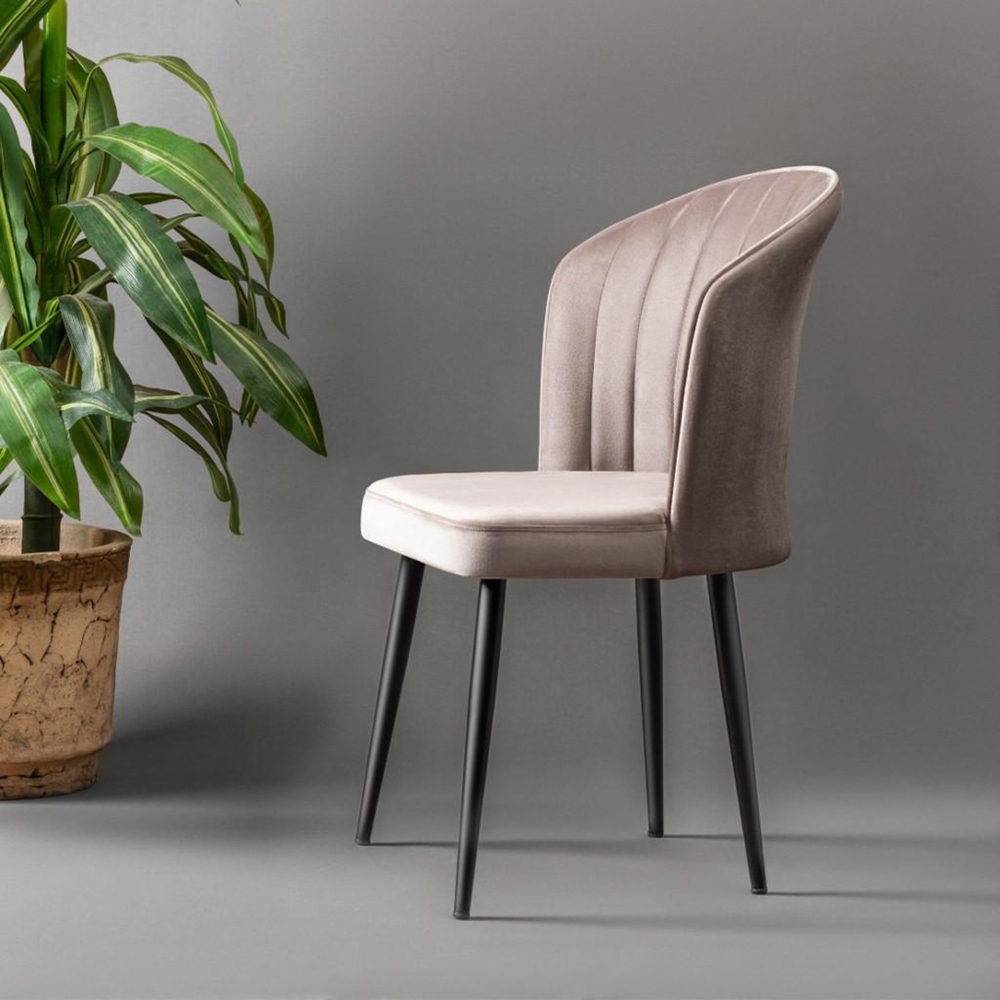 Voir la diapositive 3 : Habitat et Jardin Ensemble de chaises (2 pièces) en bois  rubi  - 52 x 42 x 85 cm - cappuccino