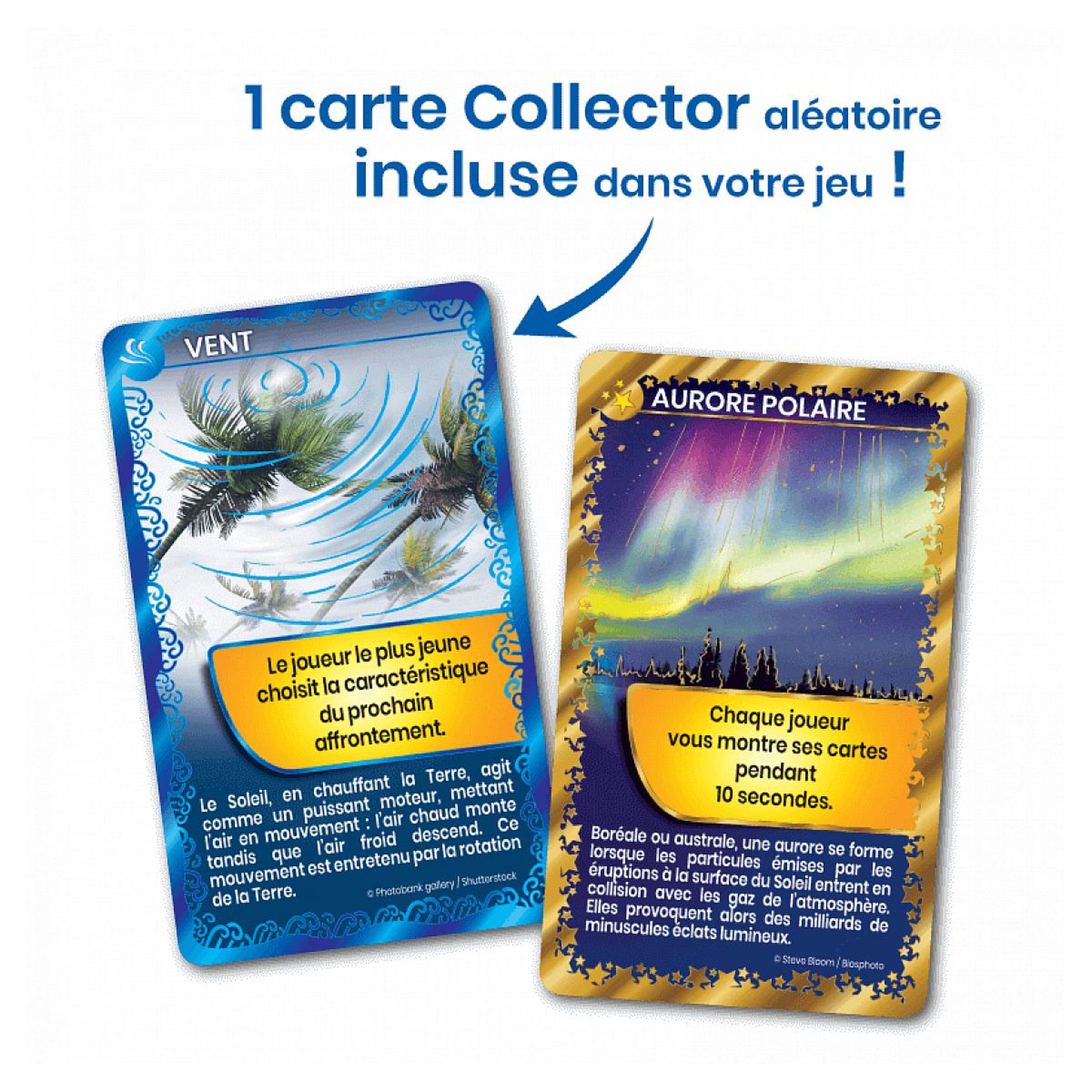 Voir la diapositive 4 : Bioviva Défis nature abeilles et autres pollinisateurs