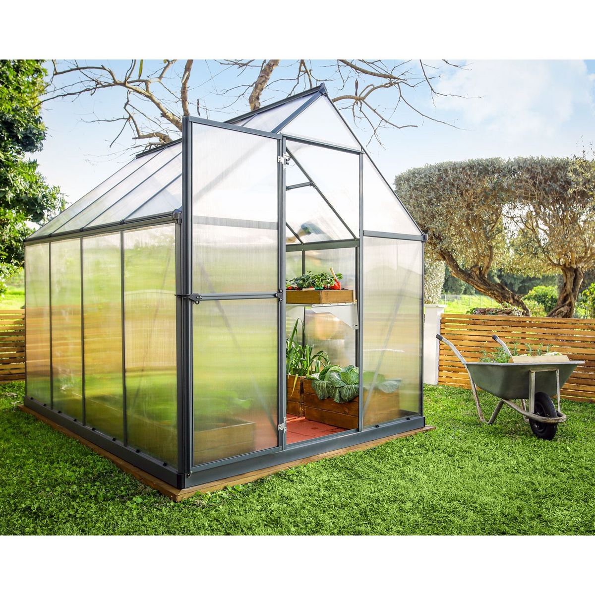 Canopia by PALRAM Serre de jardin polycarbonate Mythos 6x8 m Grey