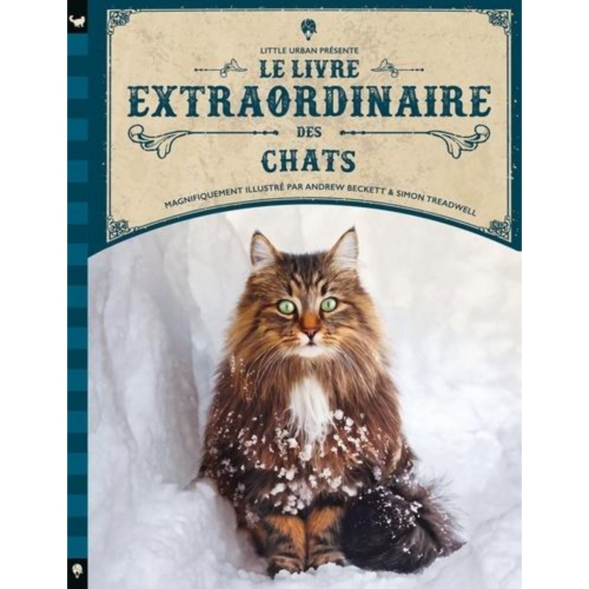 LE LIVRE EXTRAORDINAIRE DES CHATS, Beckett Andrew