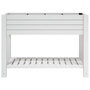 Voir la diapositive 3 : VIDAXL Lit sureleve de jardin blanc 110x45x79 cm polypropylene