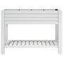 Voir la diapositive 3 : VIDAXL Lit sureleve de jardin blanc 110x45x79 cm polypropylene