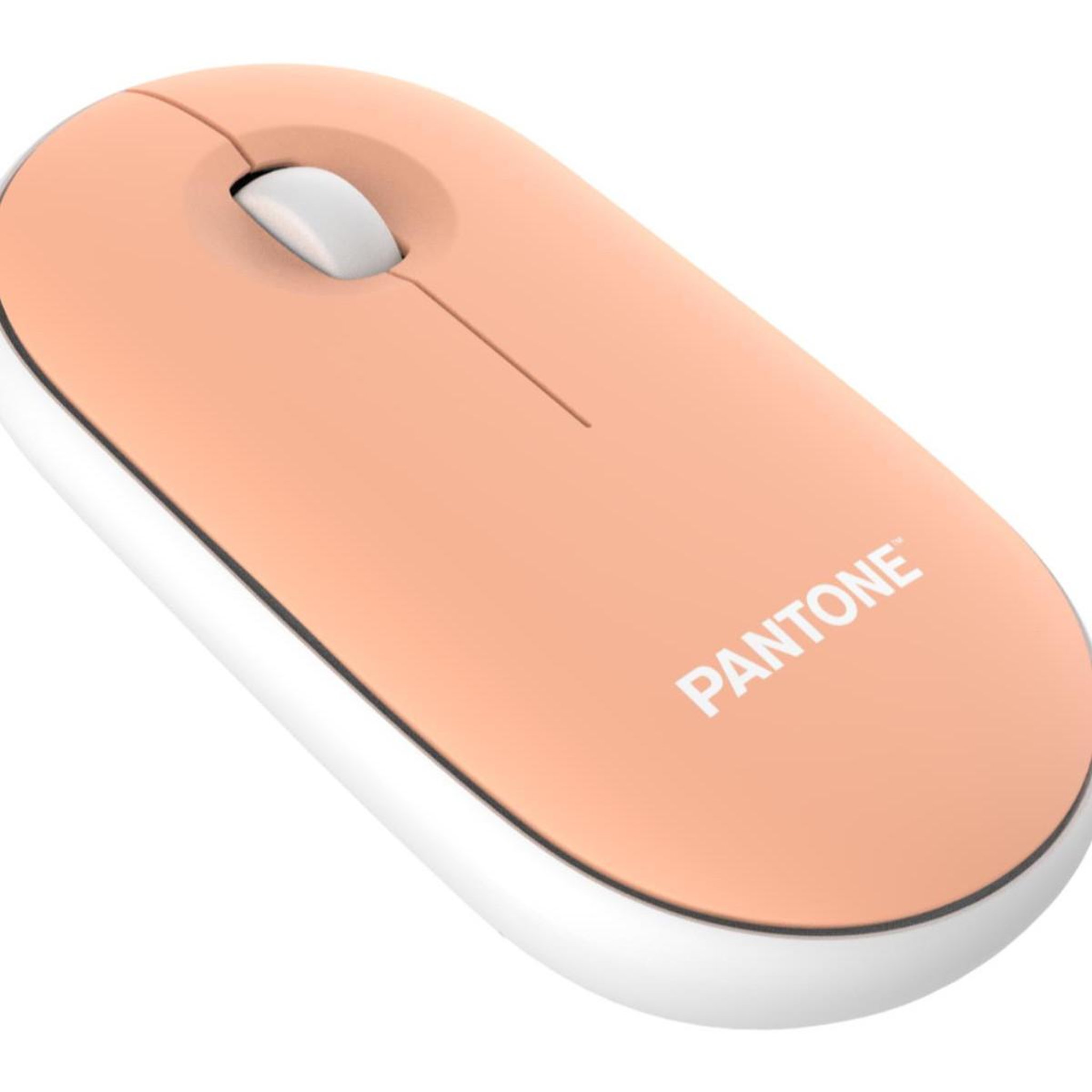 Pantone Pantone pt-ms001e souris maison rf sans fil laser 100 dpi