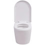 Voir la diapositive 5 : VIDAXL Toilette murale avec reservoir cache Ceramique Blanc