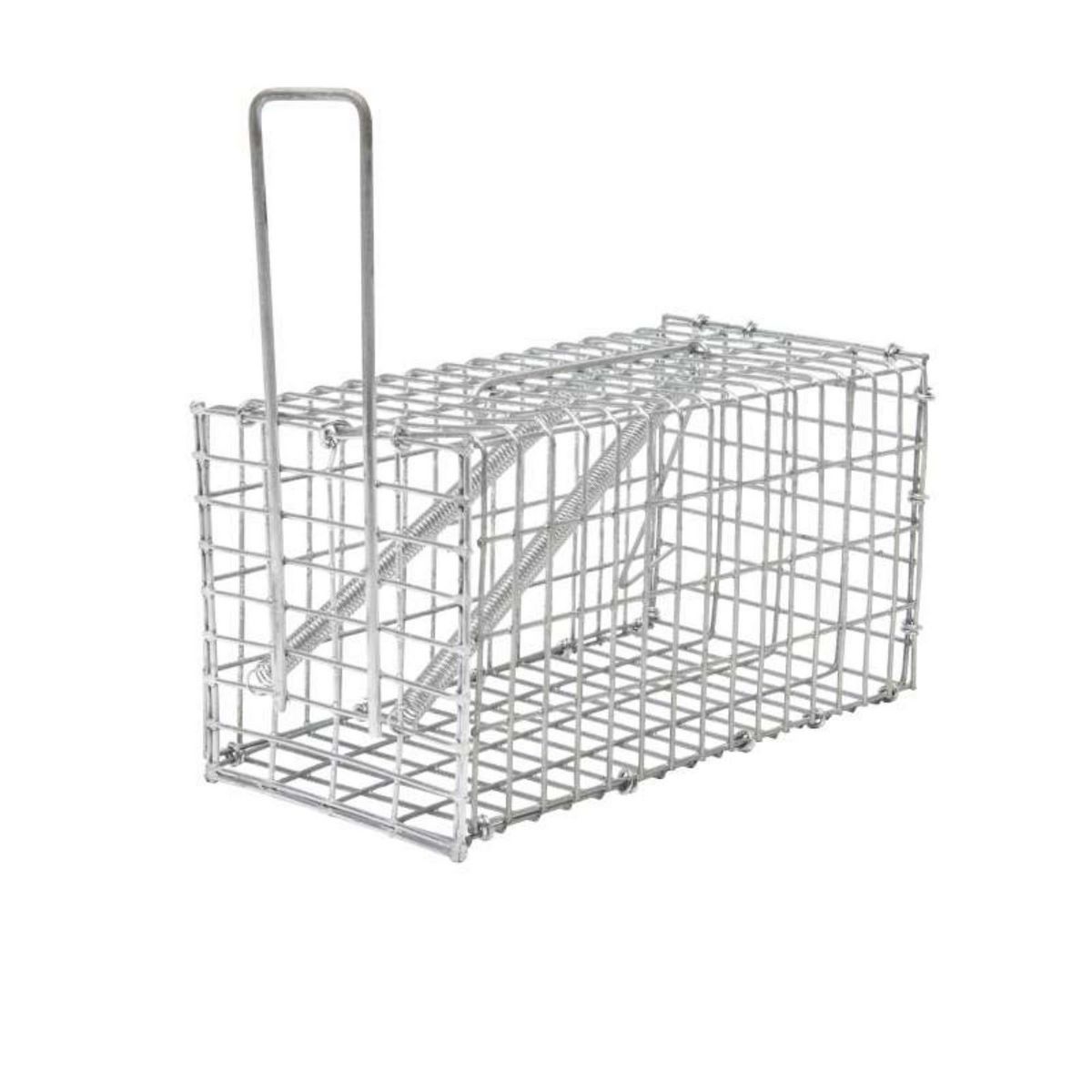  Nasse pour souris ou rat Werkapro 20 x 10 x 10 cm