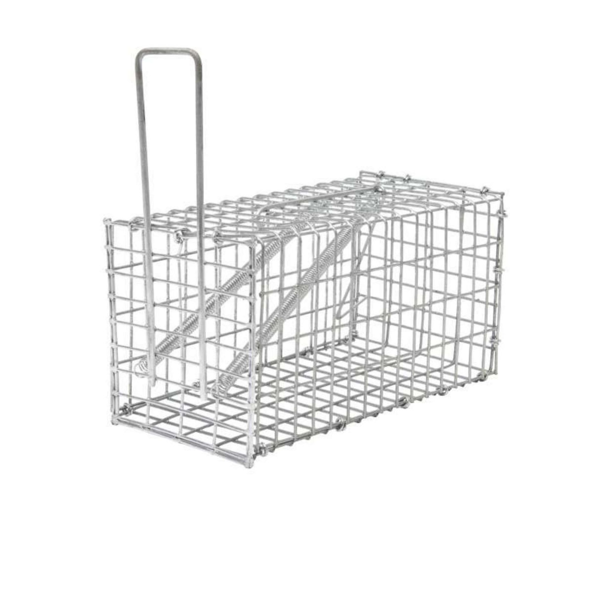  Nasse pour souris ou rat Werkapro 20 x 10 x 10 cm