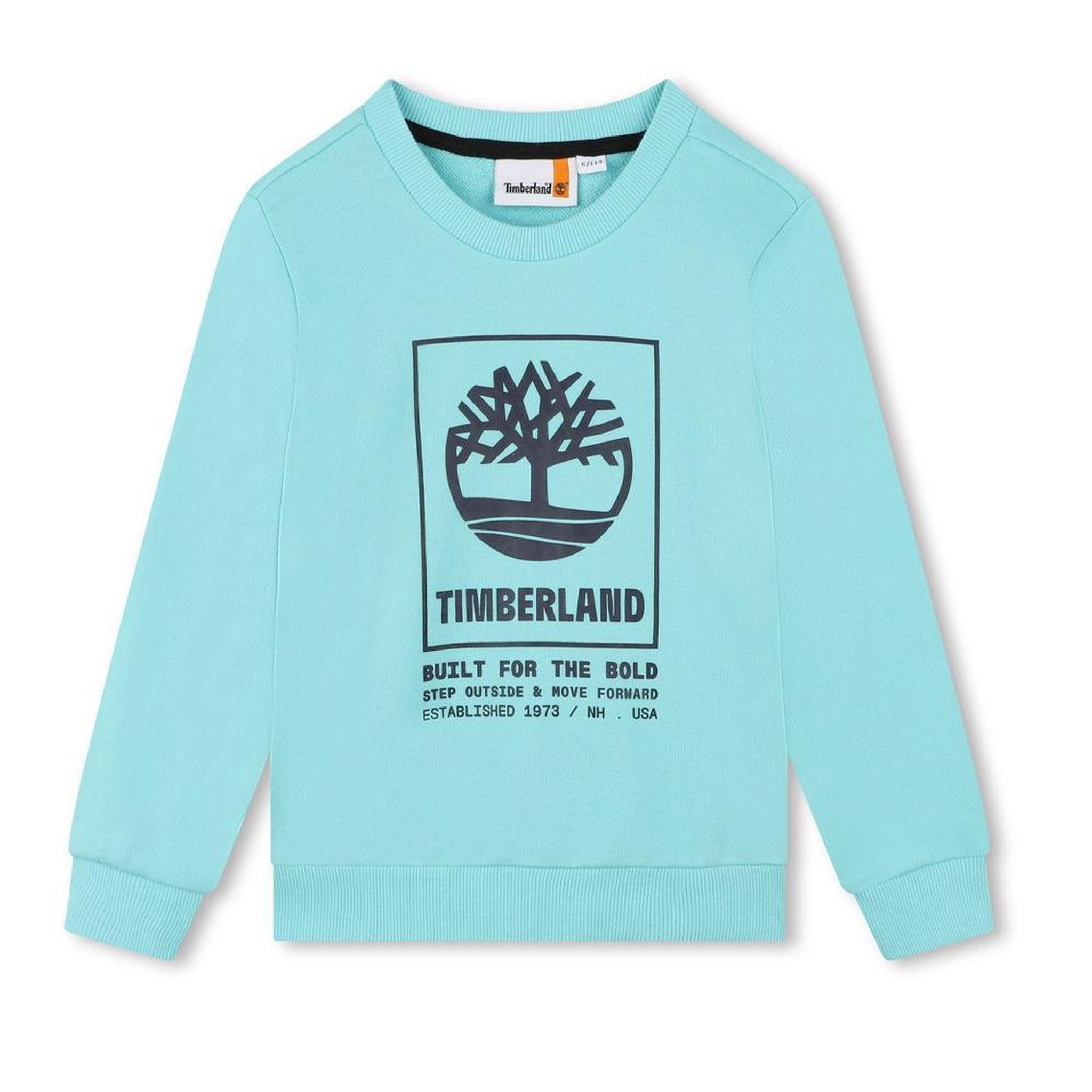 Voir la diapositive 1 : TIMBERLAND Sweat Bleu Garçon Timberland T60075