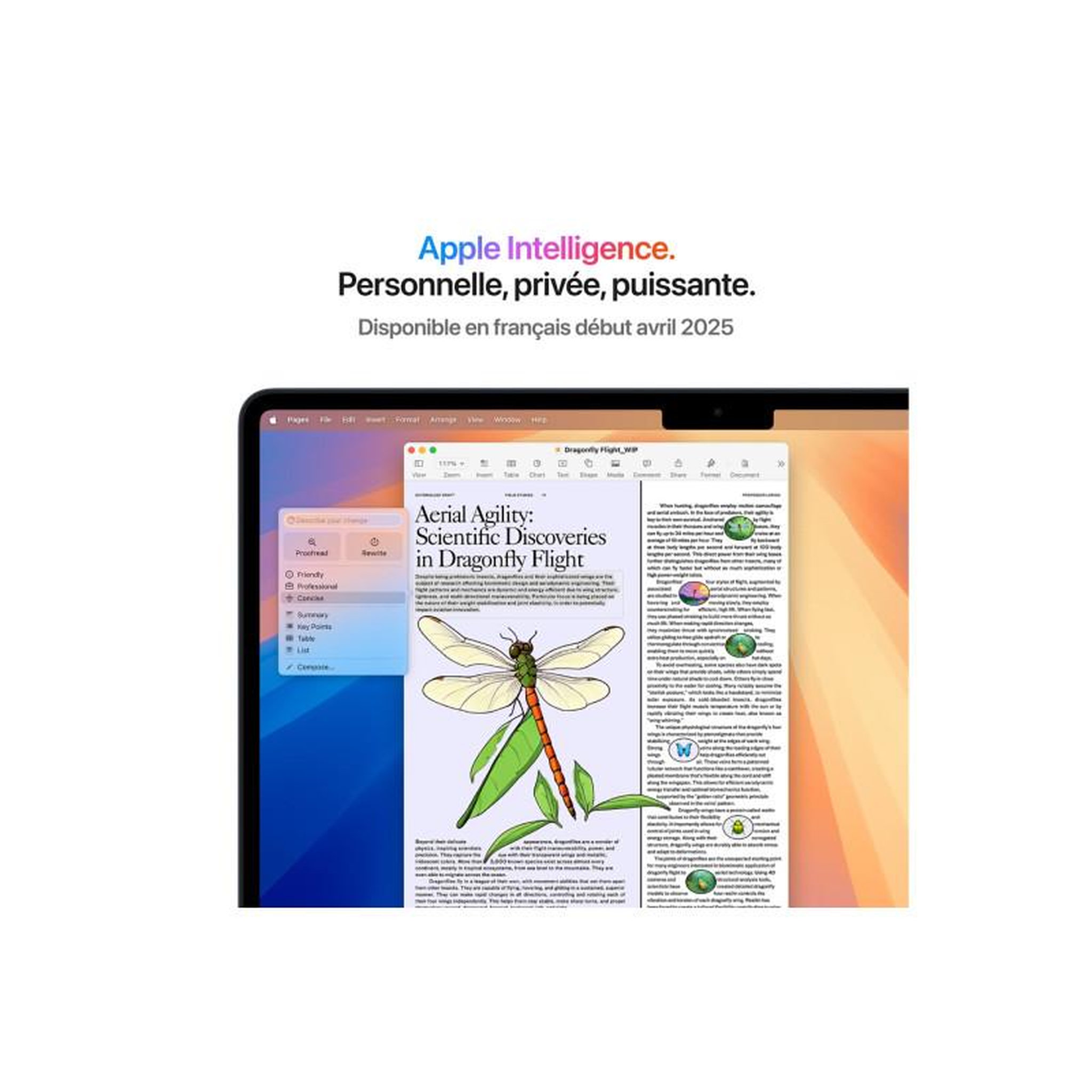 Voir la diapositive 6 : APPLE Ordinateur Apple Air 13,6  Puce M4 CPU 10 / GPU 10 coeurs Mémoire RAM 16Go Stockage 512Go SSD Retina Minuit
