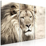 Paris Prix Tableau 3 Panneaux  The King of Beasts Beige. Coloris disponibles : Multicolore