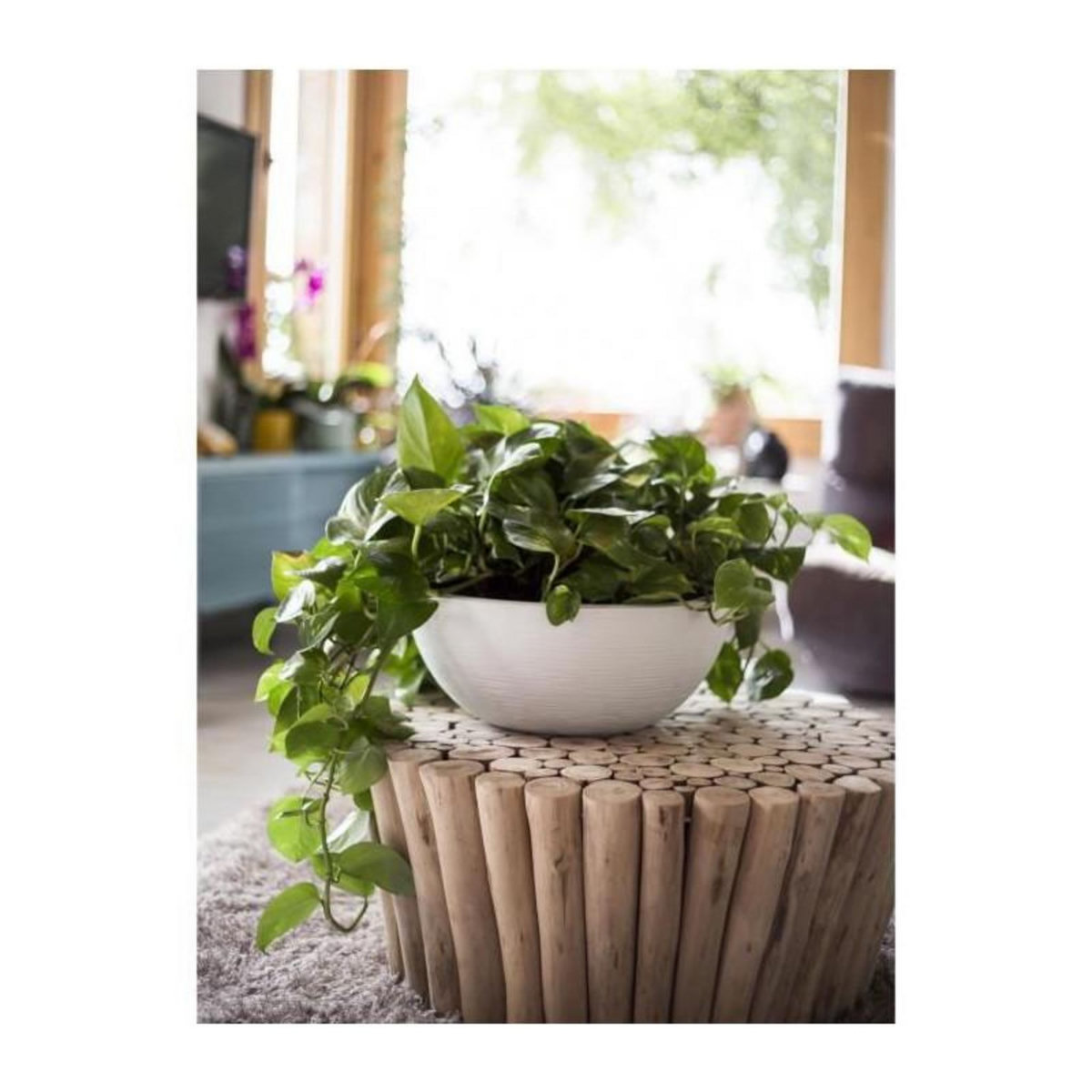 Eda Pot de fleur Vasque Graphit Blanc cérusé - Eda