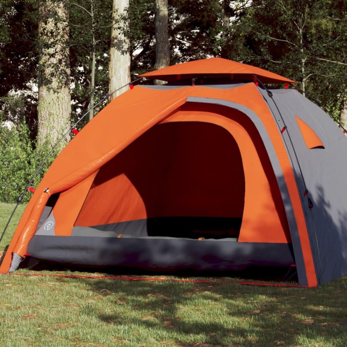 VIDAXL Tente de camping a dome 4 personnes liberation rapide