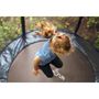 Voir la diapositive 4 : JUMP4FUN Trampoline de jardin Cocon ø150 cm- 5FT- Filet intérieur, Matelas de protection