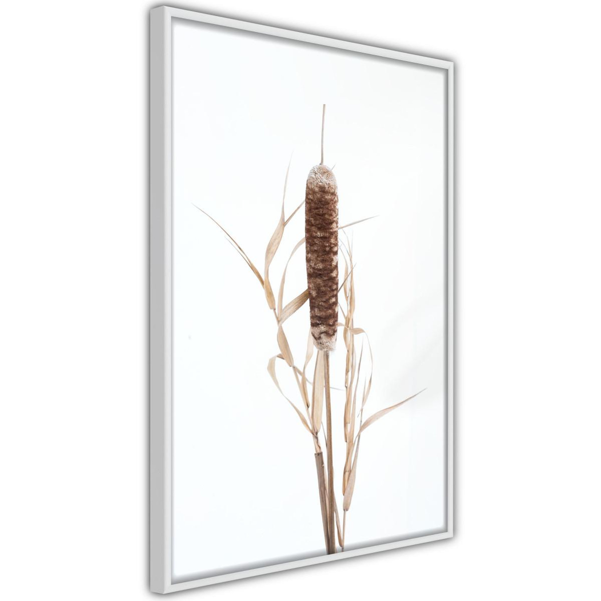 Paris Prix Affiche Murale Encadrée  Typha