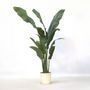 Voir la diapositive 6 : PLANT IN A BOX Strelitzia artificiel - Hauteur 160cm