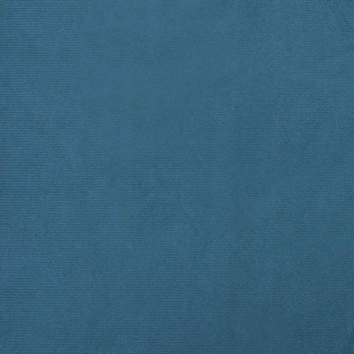 VIDAXL Lit pour chien bleu 70x48x22 cm velours