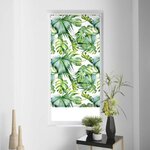 Paris Prix Store Enrouleur Tamisant  Naopi  60x180cm Vert