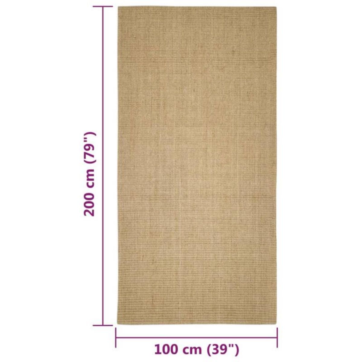 VIDAXL Tapis en sisal pour griffoir 100x200 cm