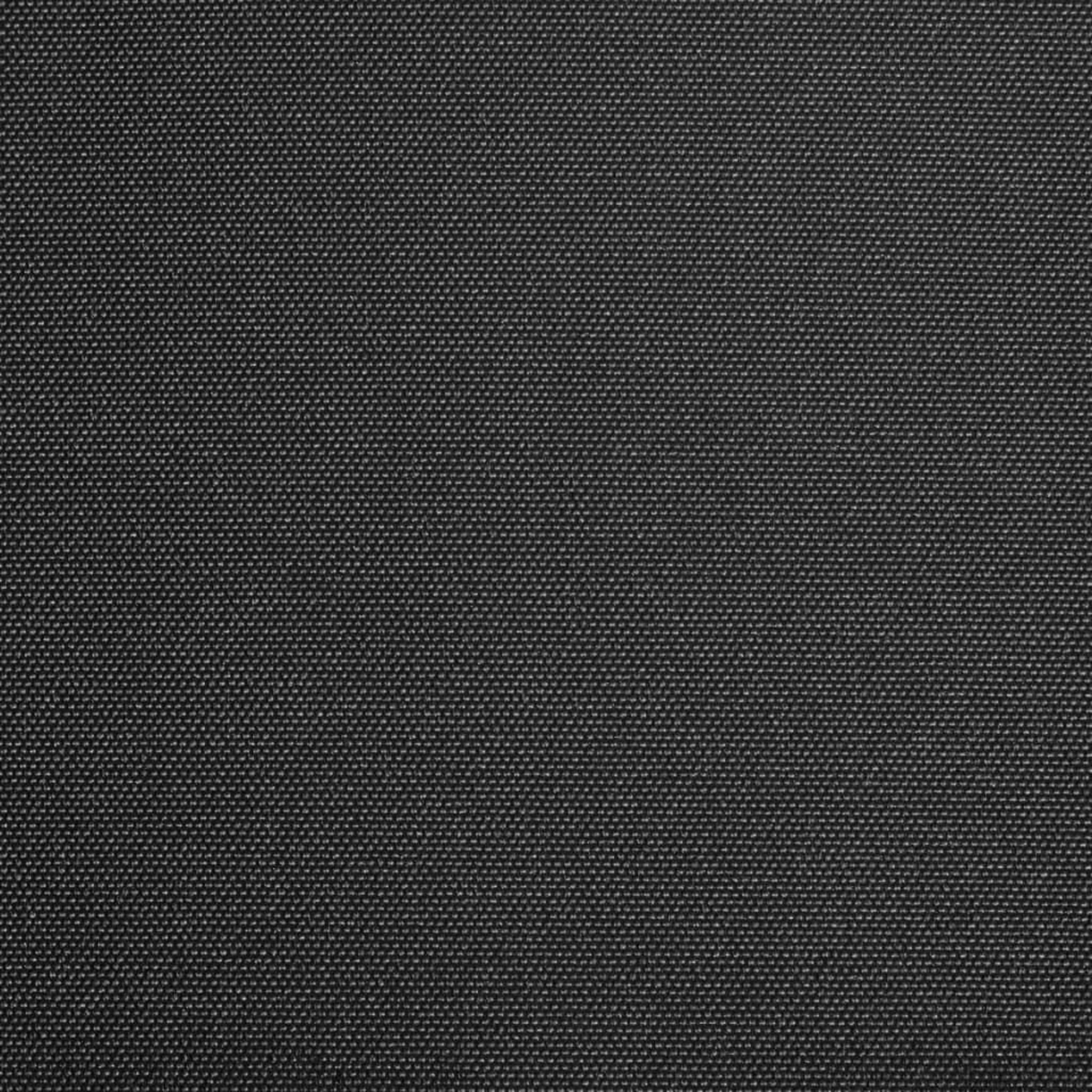 Voir la diapositive 3 : VIDAXL Toile d'auvent Anthracite 300x250 cm