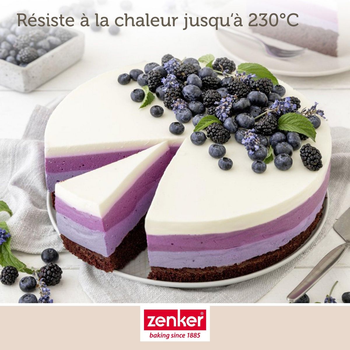 ZENKER Moule à manqué à charnière en acier 28 cm Zenker Energy