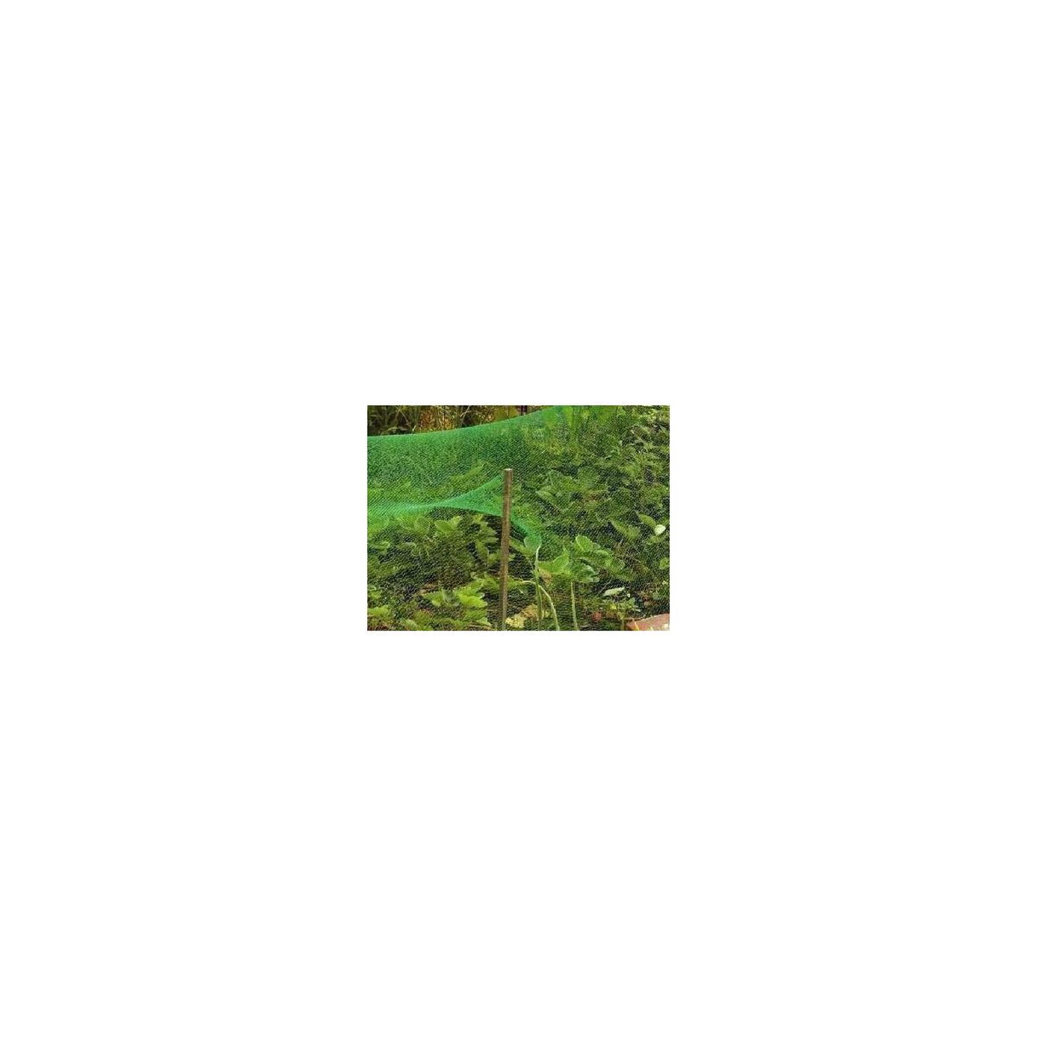 Voir la diapositive 2 : GARDENSTAR Filet protection anti-oiseaux vert - 2 x 5m