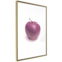 Voir la diapositive 1 : Paris Prix Affiche Murale Encadrée  Forbidden Fruit