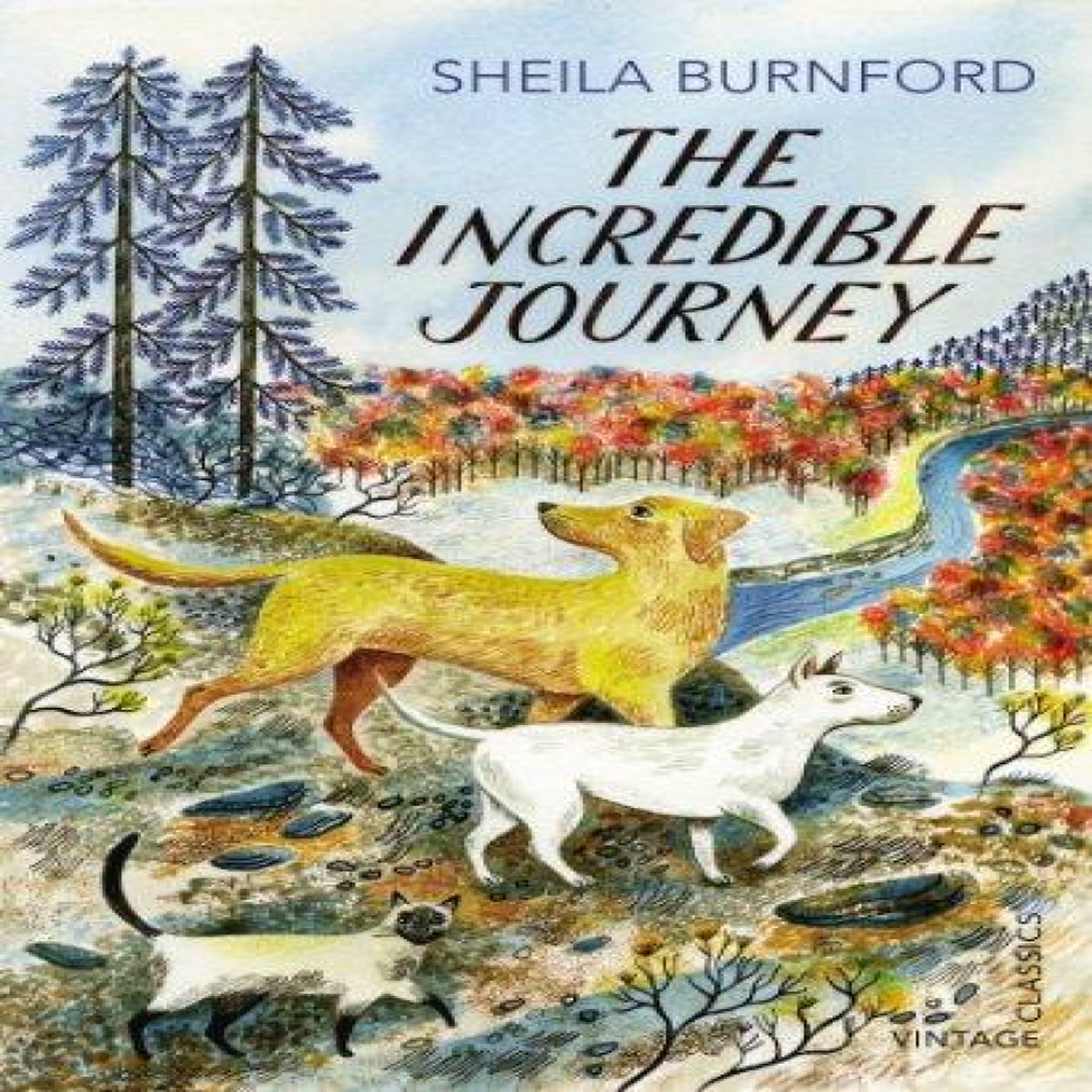LIVRES The Incredible Journey
