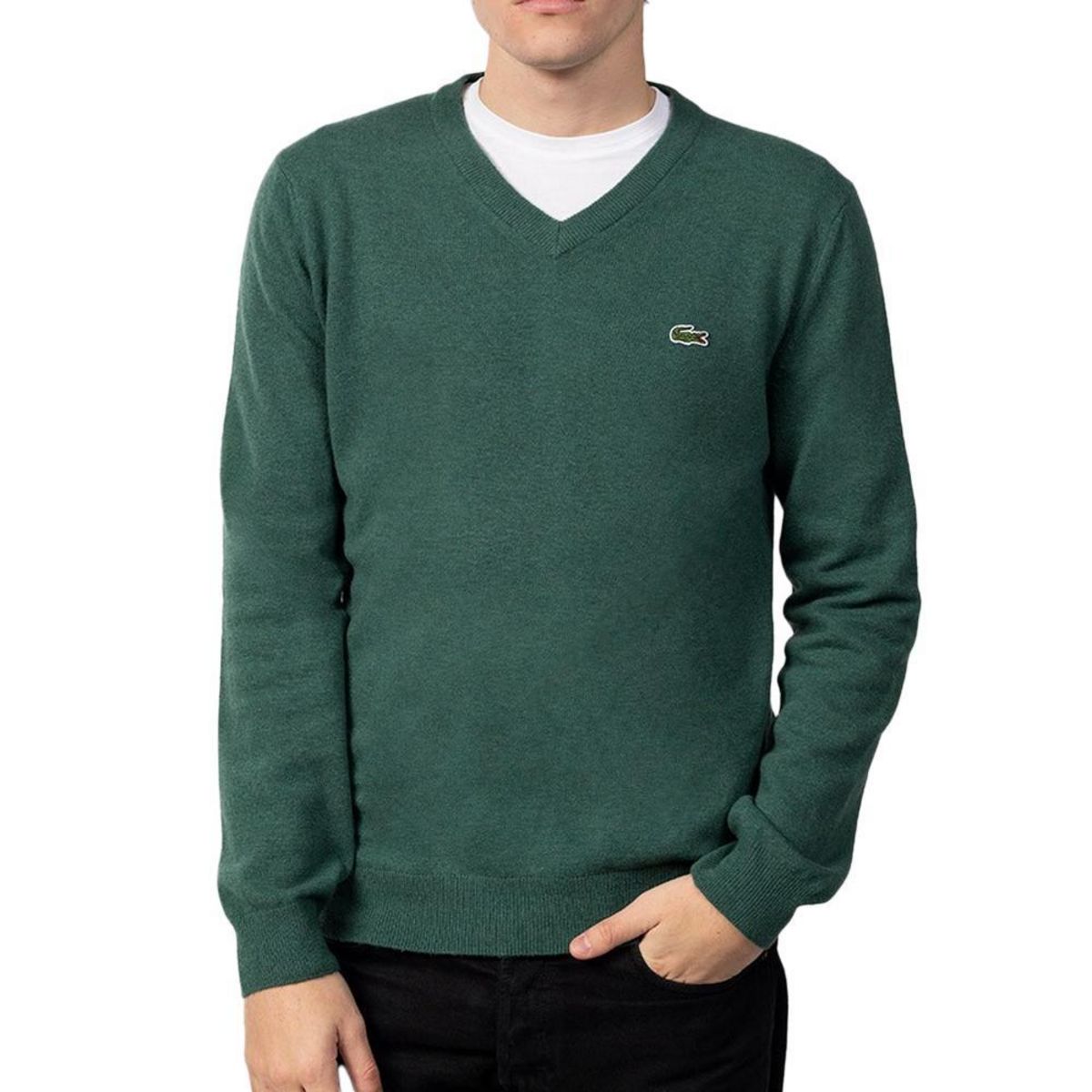 Lacoste Pull  Homme Lacoste Sequoia