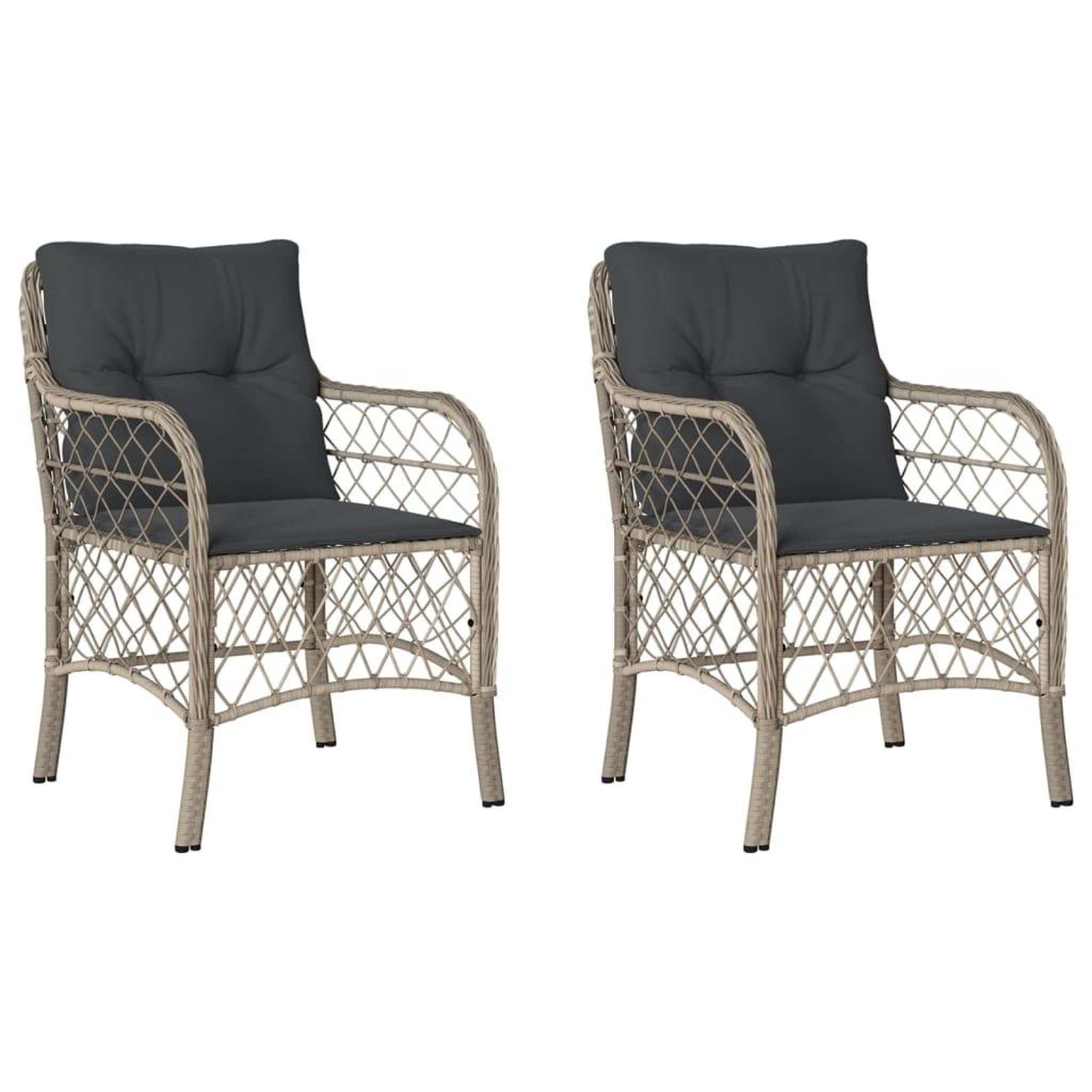 Voir la diapositive 2 : VIDAXL Chaises de jardin coussins lot de 2 gris clair resine tressee