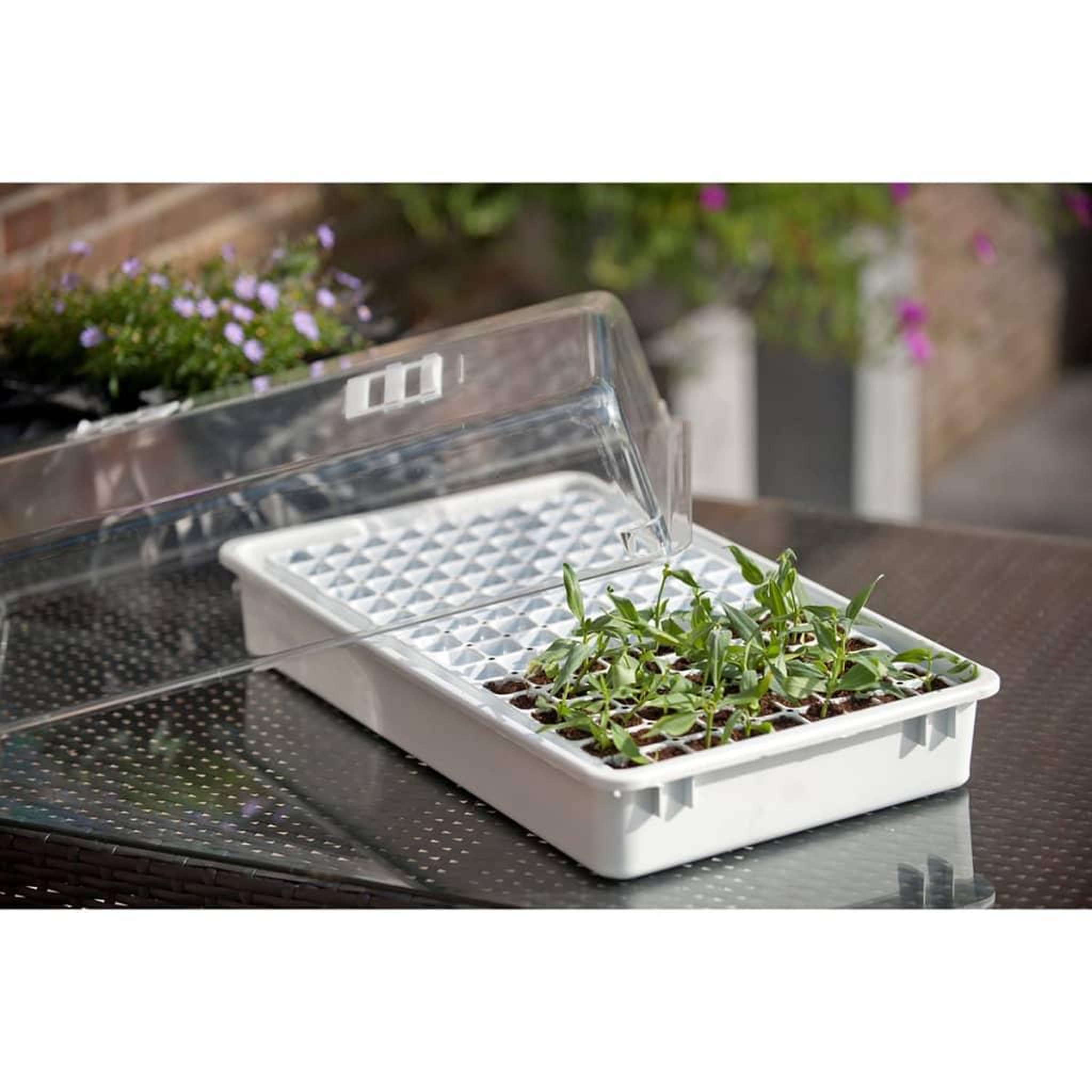 Voir la diapositive 4 : NATURE Nature Jeu de propagateur 55 x 31 x 22 cm