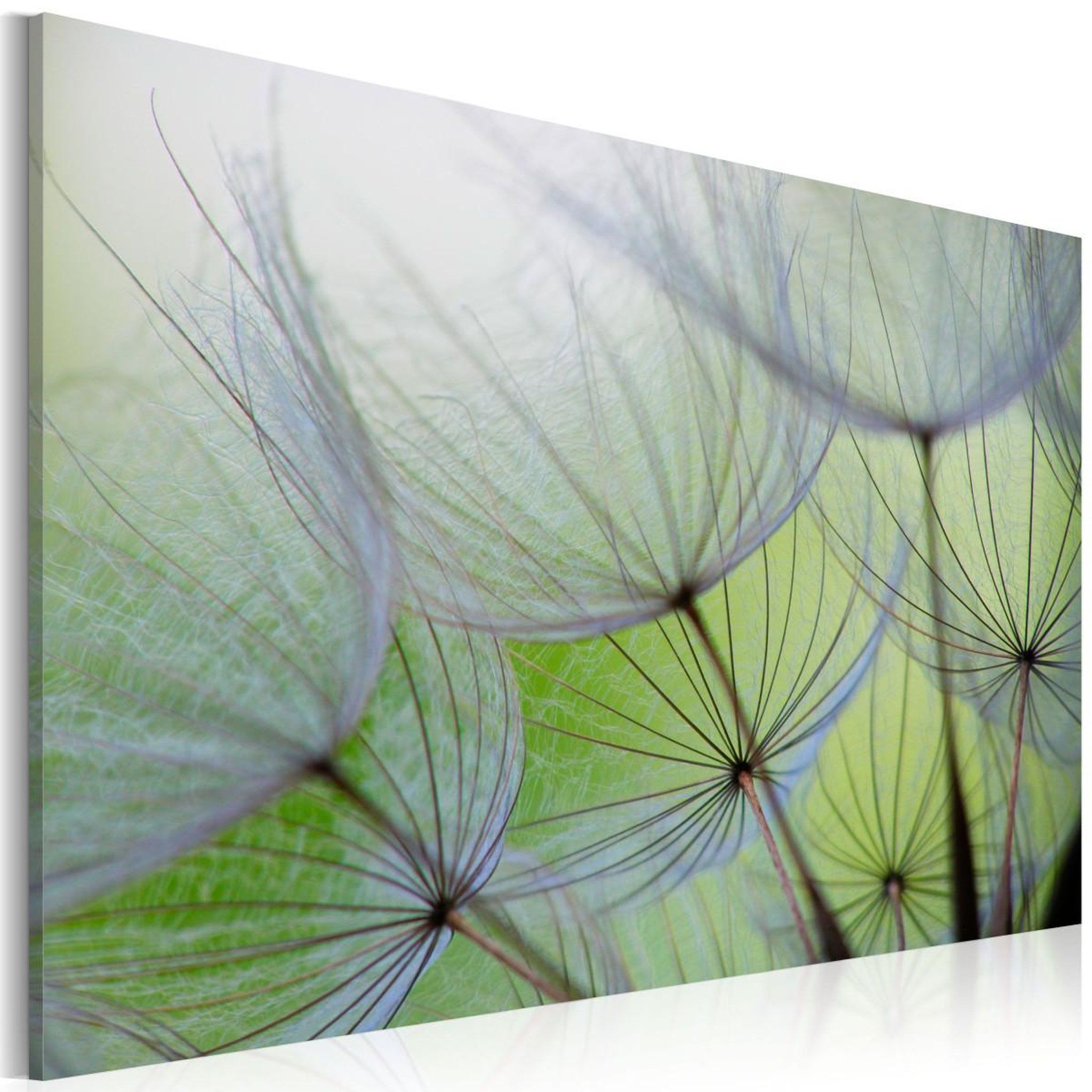 Paris Prix Tableau imprimé  dandelion in the wind. Coloris disponibles : Multicolore