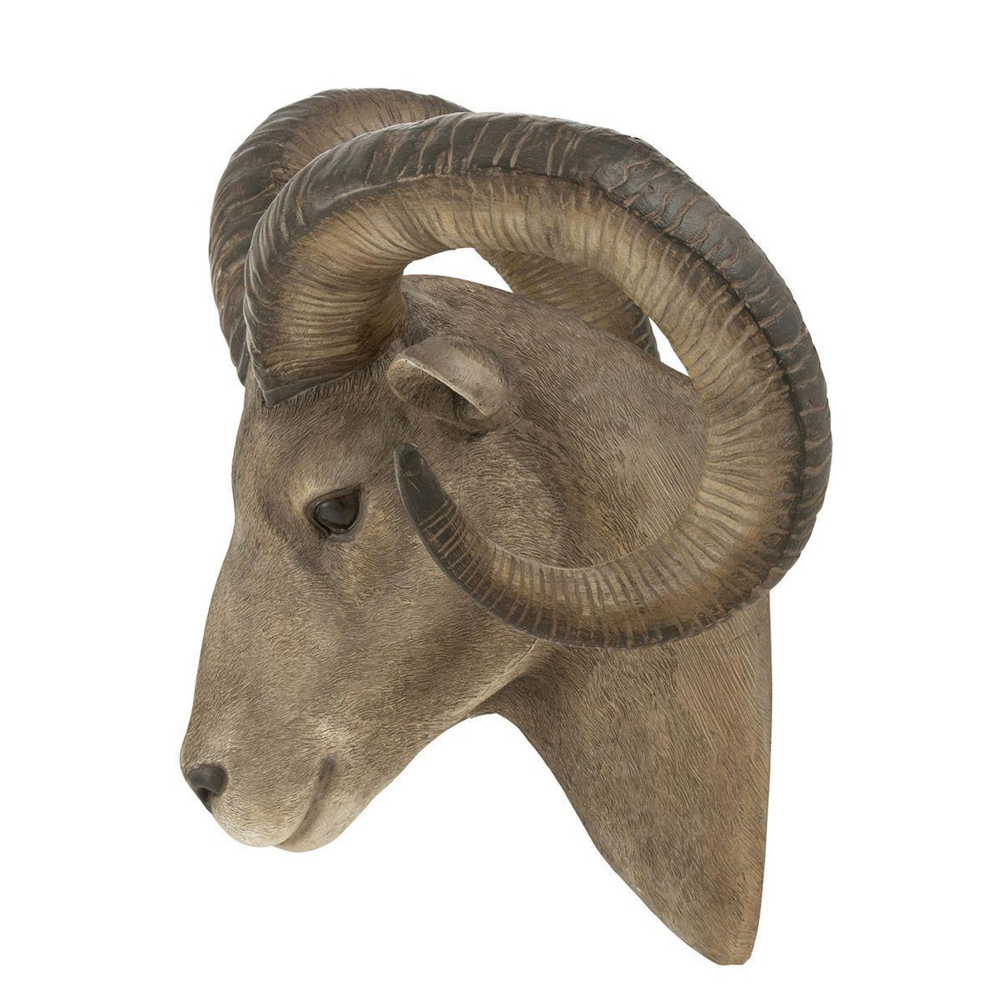 Voir la diapositive 2 : J-LINE Trophée Mural  Tête de Chèvre  48cm Gris & Marron