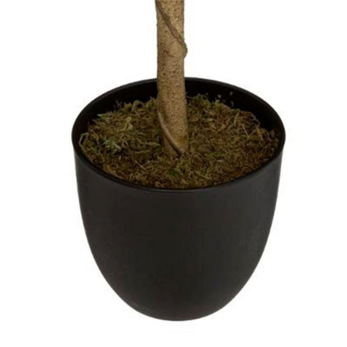 ATMOSPHERA Plante Artificielle  Citronnier  73cm Multicolore