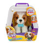 Voir la diapositive 1 : MOOSE TOYS Mon Chiot Beagle - MOOSE TOYS - REALLY REAL - LITTLE LIVE PETS - Chiot interactif avec sons et réactions