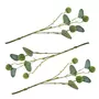 Rayher 3 branches d'eucalyptus avec fruits 40 cm