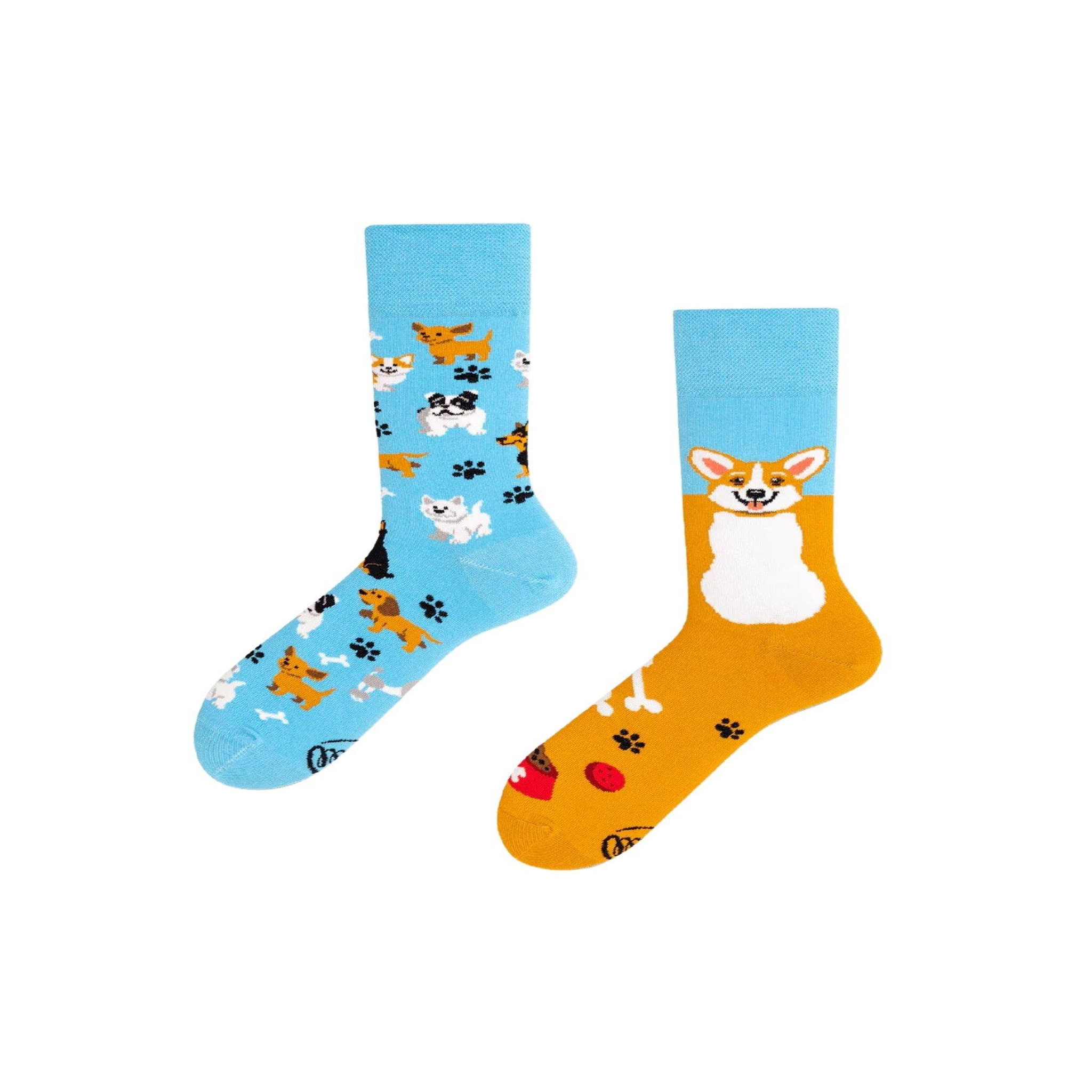 MANY MORNINGS Chaussettes corgi joueur